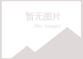 偃师紫山金属有限公司